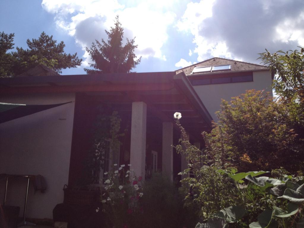 Box58 Apartment Eisenstadt Exterior photo